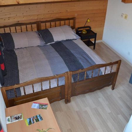 Logement Chez L'Habitant Etage Independant Grône Eksteriør bilde